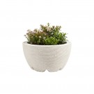 Plantekasse TERRACOTA rund i betong thumbnail