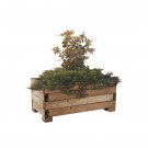 Plantekasse MADERA i furu 1000 × 500 thumbnail