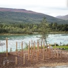 Lekeplassbark av furu inntil 3 meter fallhøyde thumbnail