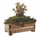 Plantekasse MADERA i furu 1800 × 600 thumbnail