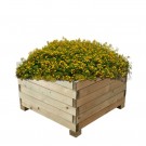 Plantekasse MADERA i furu 1800 × 600 thumbnail